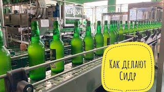 # 219 Сидр. Как И Где Производят Яблочный Сидр. Семейная Бодега. Север Испании. Sidra Asturias