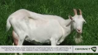 ПЕРВЫЙ СТАРООБРЯДЧЕСКИЙ ХРАМ В КСТОВСКОМ РАЙОНЕ