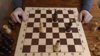 Шахматы. Урок 5 для начинающих. Шахматный король. Шах королю, мат королю