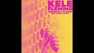 Vanishing of Bees Buzzwave (Lost Signal Remix) - Official Music Video