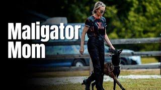 Professional Malinois Trainer @MaligatorMom : Transform Your Malinois Training