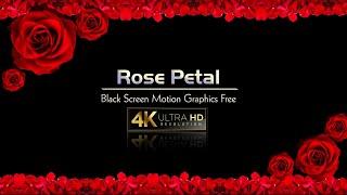 Rose Flower Wedding Frame Animation in Black Screen Background Video | Editainment Trends
