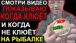 Вот от куда я узнаю КАК БЫТЬ С РЫБОЙ НА РЫБАЛКЕ