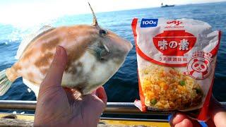 味の素で釣りしたらめっちゃ釣れた【ENG SUB】