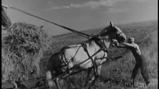 Power and the Land 1940 documentary Joris Ivens Rural Electrification Administration