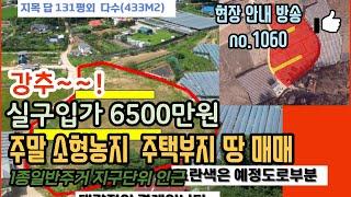 (강추~~)실구입가 6500만원 소나무숲인근 주말소형농지 살기좋은 주택부지 대부동동 토지 땅매매 /대부도부동산/대부도임소장/3090부동산/(매물번호     1060번)