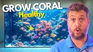 3 BIG WAYS TO HAVE A THRIVING REEF AQUARIUM?