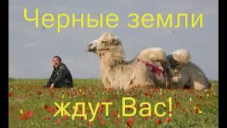 Туризм в заповеднике "Черные земли".Смотреть всем!!!