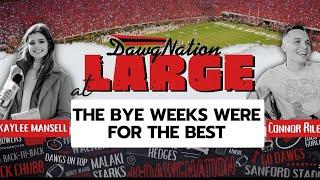 How much will the Dawgs change during this break | DawgNation at Large