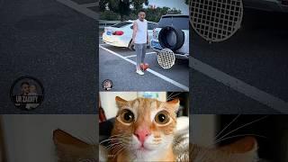 Good Idea  #cat #memes #funny