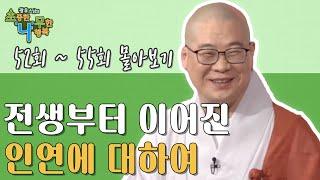 전생부터 이어진 인연에 대하여 [광우스님 소나무 4편 몰아보기]