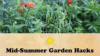 Mid-Summer Garden Hacks | Let's Grow Stuff