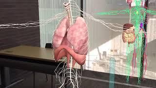 Anatomy 4d app