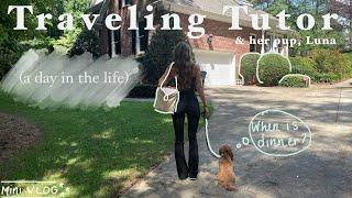 Day in the life of a traveling TUTOR & HER PUPPY [VLOG 1]