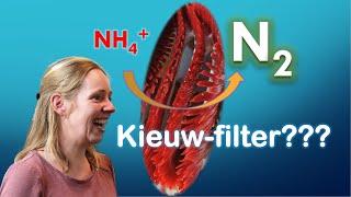 Voortaan geen filters meer nodig? Dr v Kessel geeft uitleg over haar onderzoeken.