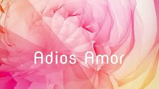 Adios Amor (Andy Borg) - Coverversion Schlagerburschi