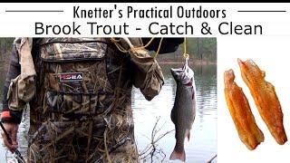 HOW TO FILLET A BROOK TROUT and NO PIN BONES!