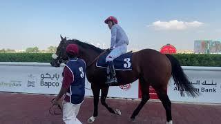 Travelling racehorses to Bahrain 