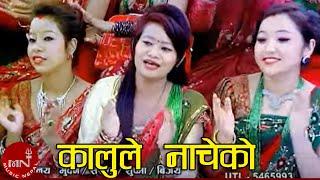 New Nepali Teej Song 2016/2073 | Kalule Nacheko - Pavitra Magar & Bishnu Khatiwada