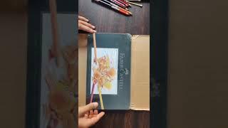 DREAM Faber castell Polychromos Unboxing | #fabercastell #realisticdrawing #colorpencil