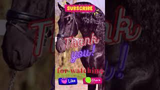 Top 10 facts of Friesian Horse | #Shorts