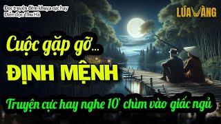 CUỘC GẶP GỠ ĐỊNH MỆNH – Truyện Đời Đầy Cảm Động Nghe 10 Phút Chìm Vào Giấc Ngủ | Lúa Vàng