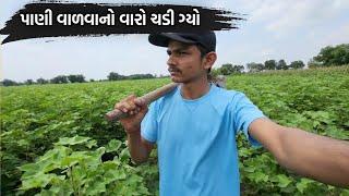 પાણી વાળવામાં વારો ચડી ગ્યો | ds vlog | gujarati vlog