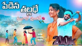 PEDINA THALLADE GULABI PUNGARE New Gondi full Song-2024 #STIsmartcreatinons#