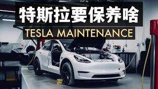 4.6萬公里的特斯拉都需要保養什麼？Tesla maintenance