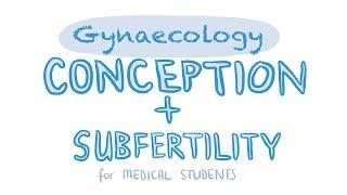 Gynaecology - Conception and Subfertility for Medical Students