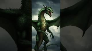 #New  #Dragon #howtotrainyourdragon #4 #howto