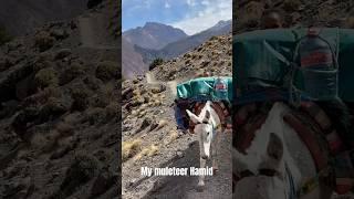 My muleteer Hamid passes us on our acclimatization hike in the Atlas Mountains of Morocco