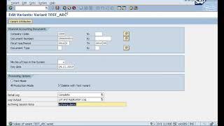 Archiving and retrieving SAP Transactional data, FI Documents