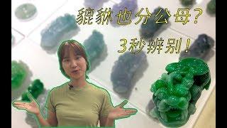 你身上戴的翡翠貔貅也有公母之分？君君教你三秒辨别！