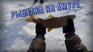 Ловля щукаря на амуре в глухозимье