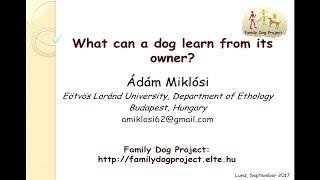 Ádám Miklósi - What can a dog learn from its owner?