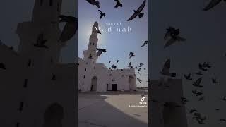 Beautiful Madinah #umrah2023 #umrahvlog #umrahtrip #saudiarabia #madina #madinasharif #travel