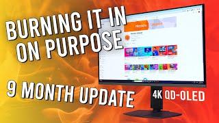 Deliberately Burning In My QD-OLED Monitor - 9 Month Update