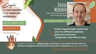 Endocrinopsychologie, adaptation du corps - Gestion du stress - par David MORAND