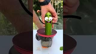 Cute Life Doodles | Grinder and cucumber  #cutelifedoodles #cartoon #animation #funny