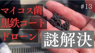 【農業】巷で話題のマイコス菌を使ったドローンでの湛水直播の最新情報を聞きに行きました！【ドローン】