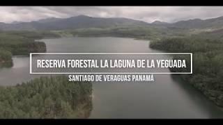 Tu Canal al día: Reserva Forestal la Laguna de la Yeguada