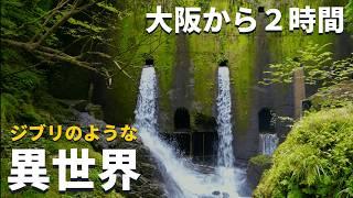 【関西•神秘】大阪から車で２時間「ジブリのような４つの異世界」苔の巨大壁が泣いている・・・