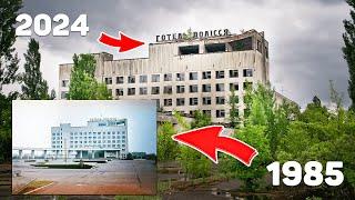 Чернобыль Спустя 38 лет | Дикая природа Зоны Отчуждения