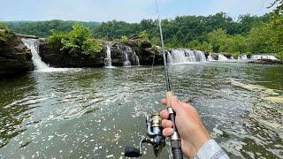 Fishing River Waterfall for ANYTHING That Bites!