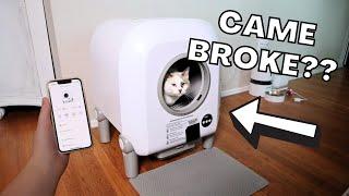 What I DIDN'T LIKE About the ZeaCotio Automatic Litter Box + Demo!