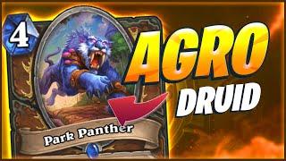 A Guide on AGGRO DRUID! Overwhelm your opponent! | Hearthstone