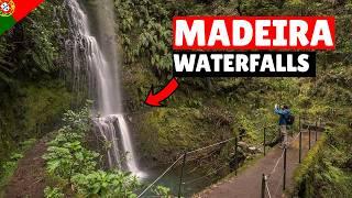 Madeira is this the best waterfall hike? | The REAL levado's