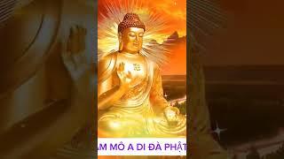 Câu nói hay của Thiền Sư Thích Nhất Hạnh #phatphapnhiemmau #adidaphat #buddha