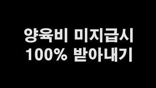 양육비 100% 받아내기, 이행명령신청, 감치, 과태료부과, 담보제공, 일시금지급명령, 직접지급명령, 형사처벌, 운전면허정지, 출국금지, 신상공개